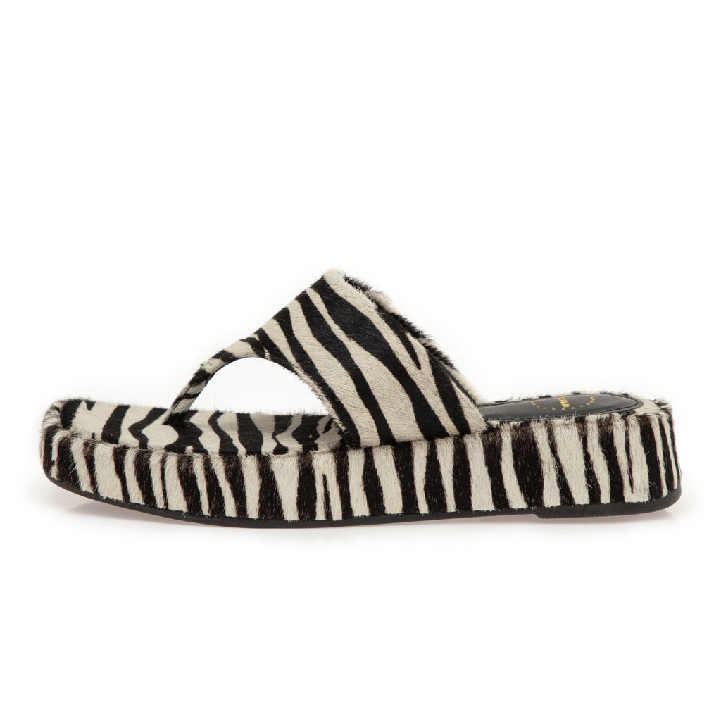 Manolita Sandals TAMANCO CASSIS ZEBRA