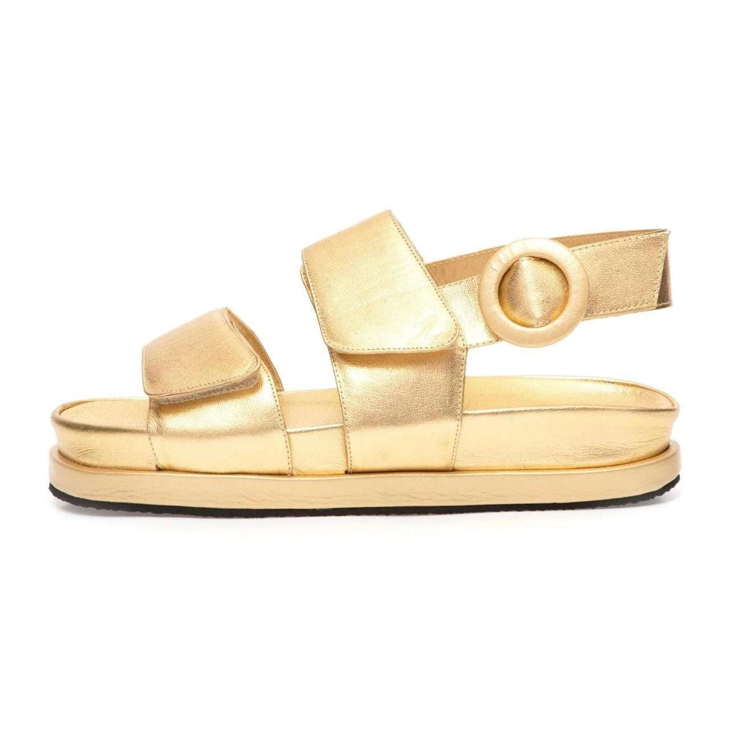 Manolita Slides Gold Bk Colors